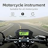 Geloo B0B1Q3XHCW lato 2