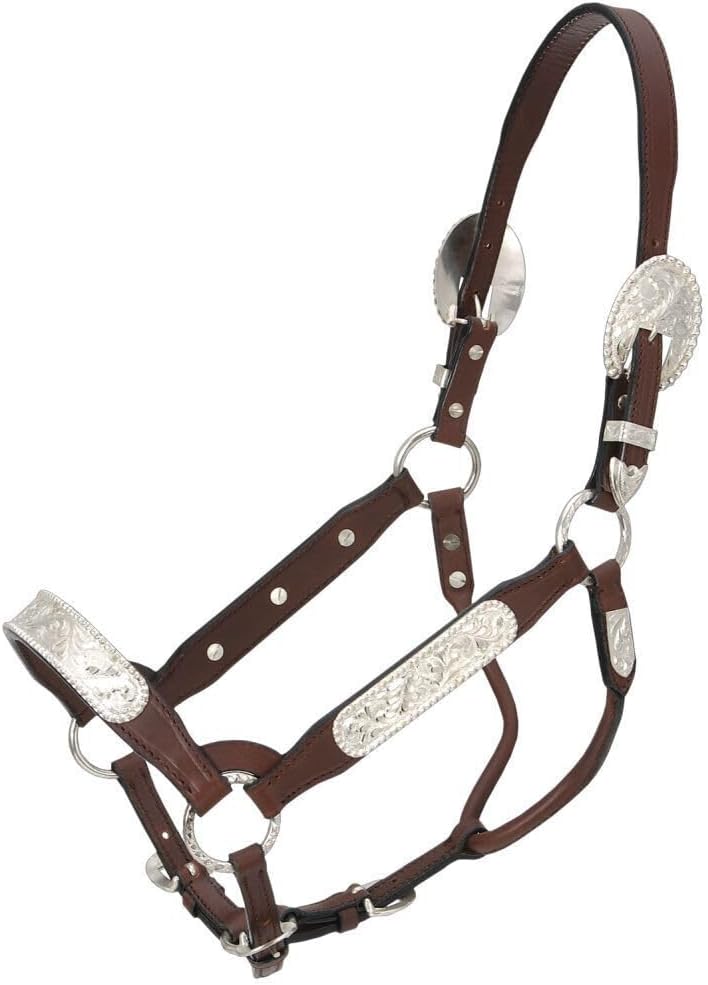 Royal King Congress Show Halter