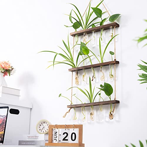 Cucumi Test Tube Propagation Stations, Wall Hanging Glass Planters Flower Vase, 3 Tiered Plant Propagation Station Tubes With Wood Stand, Terrarium Vase For Hydroponics Water Plants #TOP5