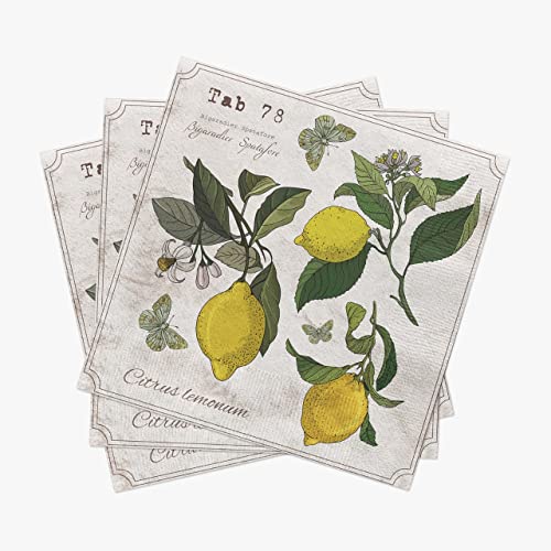 Lemon-Napkins-LEMON-BOTANY-with-Butterflies-40pcs-Lemon-Cocktail-Napkins-Summer-Cocktail-Napkins-Decorative-Napkins-Floral-Napkins-Decoupage-Paper-Napkins Lemon Napkins LEMON BOTANY with Butterflies 40pcs Lemon Cocktail Napkins Summer Cocktail Napkins Decorative Napkins Floral Napkins Decoupage Paper Napkins