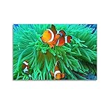 NOHF Poster animal Ocellaris Poisson clown impression d'art mural rétro esthétique décoration de chambre peinture sur toile pour décoration de maison et de bureau 20 x 30 cm, style sans cadre