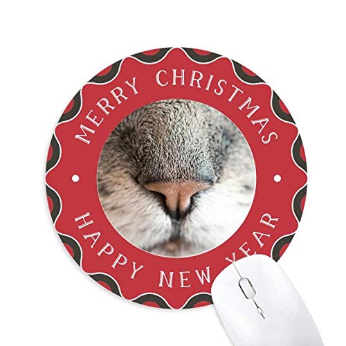 ̒n̎ʐ^摜 ~`S̃NX}X}EXpbh