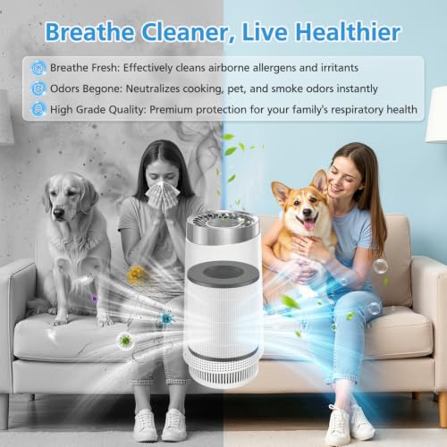 Image of 2-Pack TD-1300 Filter Replacement for Tredy TD1300 Air Purifier | 3-in-1 HEPA & Activated Carbon Filters, also for Tenergy Renair TAP01 / Cool-Living CL-6070A / BEABA Nursery, for Large Room
