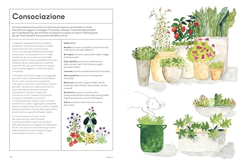 L'orto In Cucina - 5