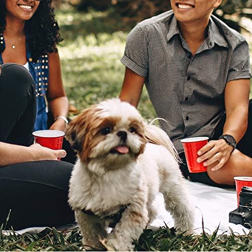 gifts for boyfriend - wooden watch side view showing band