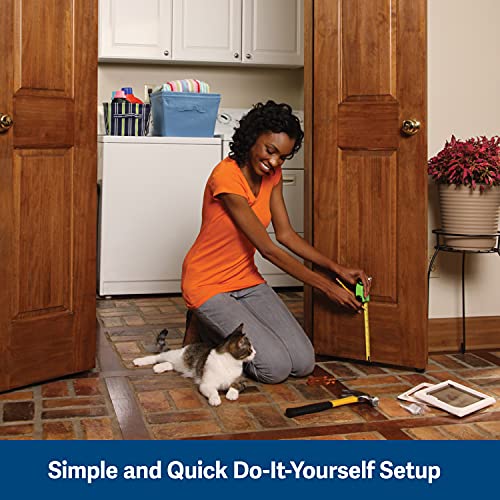 PetSafe Interior Cat Door 2Way Locking, Indoor Pet Door Flap Tinted