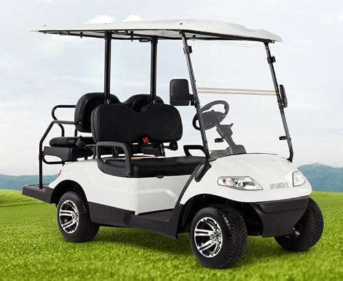 NEW Advanced EV1 Golf Cart Clear Windshield
