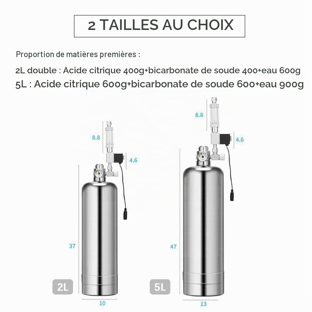 Système Générateur de CO₂, 5L Système CO₂ pour Double Aquarium | Kit Réacteur à Dioxyde de Carbone avec Bouteille en Acier Inoxydable Électrovanne Compteur de Bulles Fétendeur