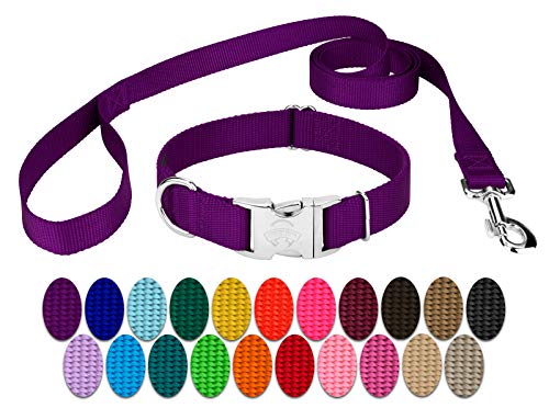 Country Brook Petz - Premium Nylon Dog Collar and Leash - 10+ Cool Colors (Large, 1 Inch, Purple)