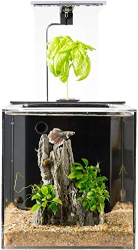 EcoQube C Aquarium - Betta Fish Tank with UV LED Sterilizer and Aquaponic System for Desks, Offices, and Home Décor