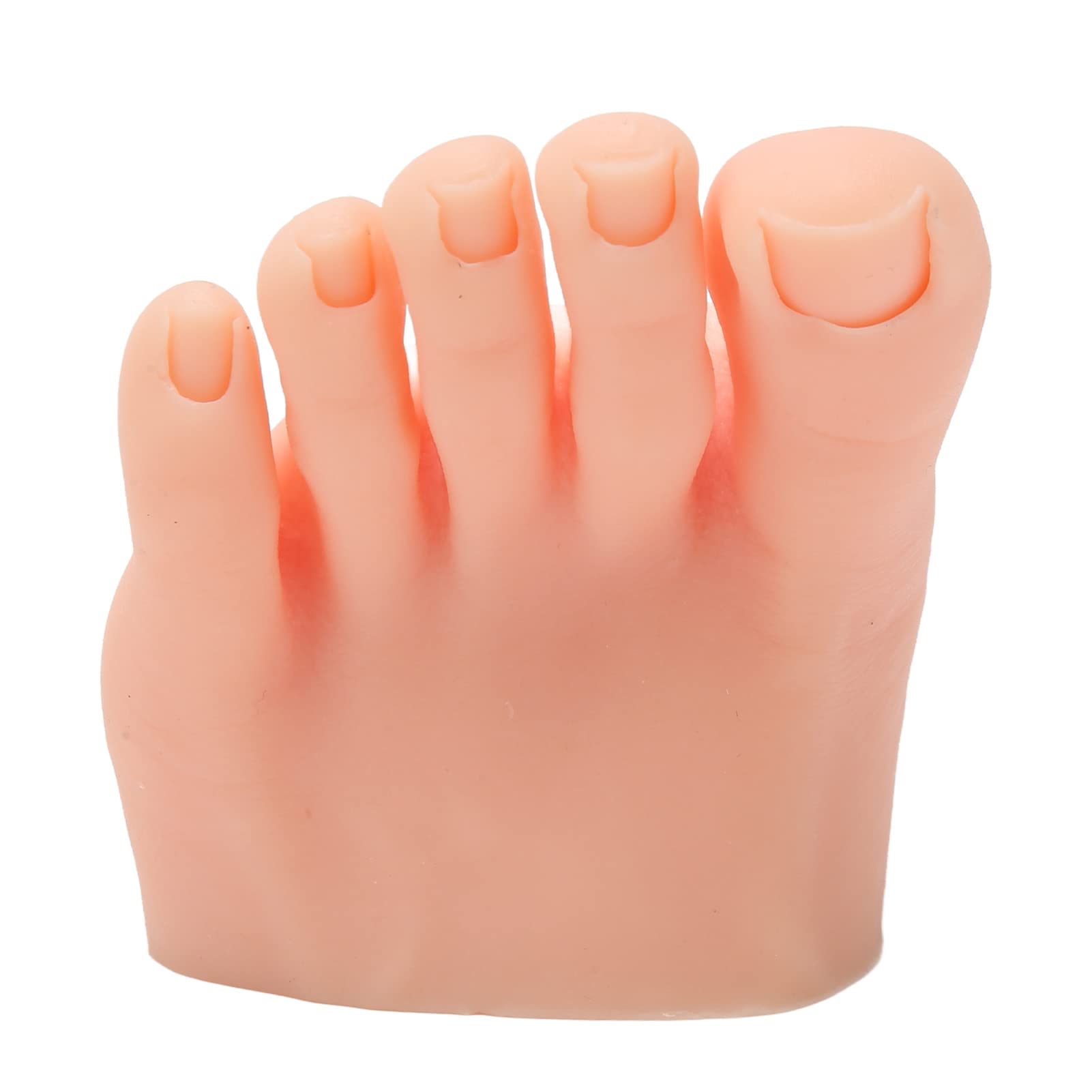 Lifelike Manikin Feet PVC Foot Lifesize Male Mannequin Half Foot Model for Painting Teaching Arts Drawing Sketching Jewelry Display (Left)