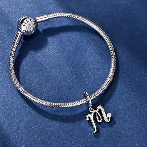 FOREVER QUEEN Initial A-Z Letter Charm 925 Sterling Silver Dangle Beads Charm Red Zircon Alphabet Pendants for Snake Chain Bracelets Necklace Mother Gift Jewelry4