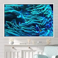 Framed Canvas Wall Art Deep Under Group Jellyfish Marine Life Multicolor Photography Realism Tropical Ultra Whimsical - 16x24 inches