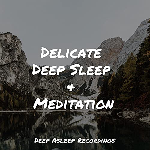 Delicate Deep Sleep & Meditation Deep Sleep Digital Music