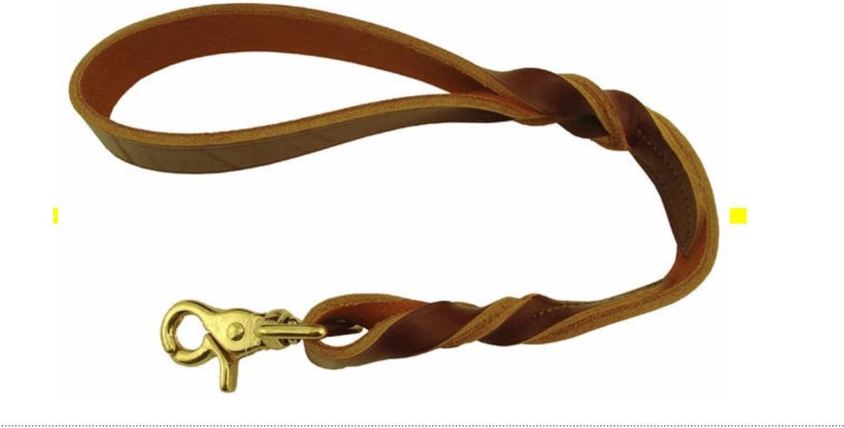 Scott Pet Leather Twist Traffic Dog Leash