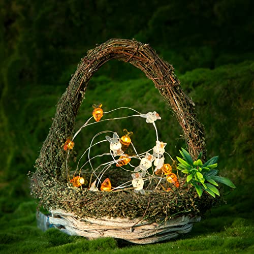 Eambrite Set Of 2 Easter Decorations Lights 10Ft 60Lt Easter Eggs Chick Fairy Lights And Carrot Bunny String Lights Set With Timer Battery Operated Spring Indoor Decor For Home Party Table Tree #TOP5