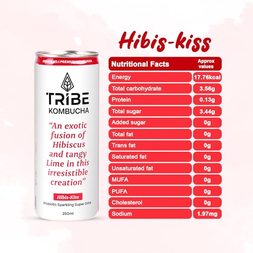 Image of Tribe Kombucha Probiotic Super Drink | Supports Gut Health | Gluten-Free | Naturally Fermented | Super Refreshing | Gut Friendly | Improves Blood Sugar | Antioxidant and Hydration | No Added Sugar | 250 ML X 6 (HIIIBISCUS)