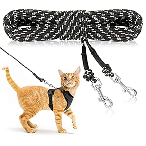 Rypet Reflective Cat Long Leash – 15 FT Escape Proof Walking Leads Yard Long Leash Durable Safe Personalized Extender Leash Traning Play Outdoor for Kitten, Puppy, Rabbit and Small Animals Black