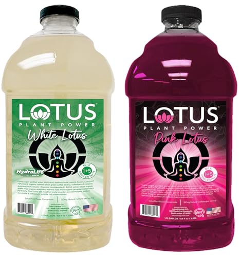 Lotus Energy Drink Concentrate 64 fl oz (White & Pink) Pack of 2