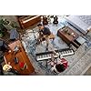 Best Portable Digital Piano - Top 5 Expert Review and Pick 34 Roland RD-08 Stage Piano | Authentic RD Sound & Playability | 88-Note Weighted-Action PHA-4 Keyboard | Bundle, H&A Keyboard Stand, Sustain Pedal, Piano Bench & Studio Monitor Headphones #4