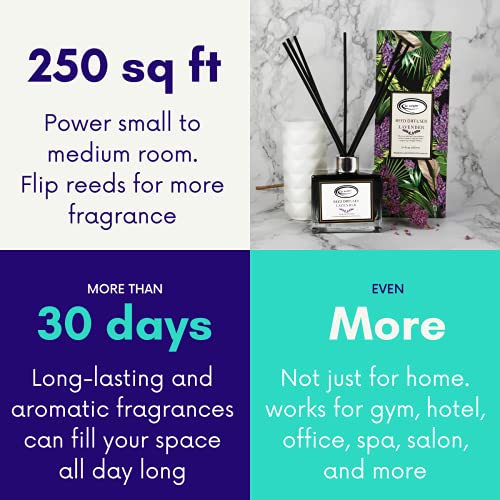 Air Jungles AJ026 Lavender Scent Reed Diffuser Set With Sticks, Essential Incense Oil Air Freshener thumb #3