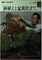 Amazon.co.jp: 西良祐: 本