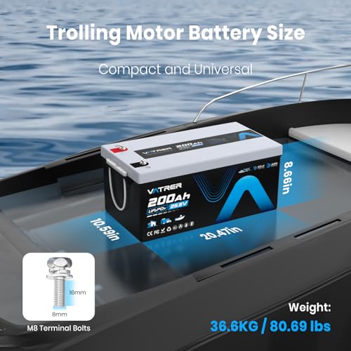 Image of 24V 200AH Self-Heating LiFePO4 Lithium Battery + 29.2V 20A Lithium AC-DC Battery Charger, Deep Cycle LiFePO4 Battery Built-in 200A BMS for Trolling Motors, RV, Off-Grid Applications, etc.