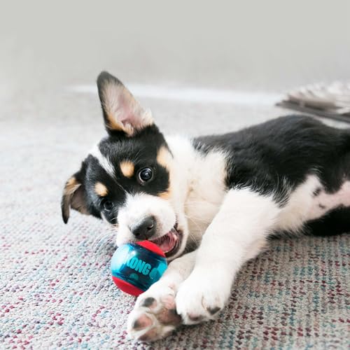 Juguetes Para Perro, Pet Products Imagen adicional