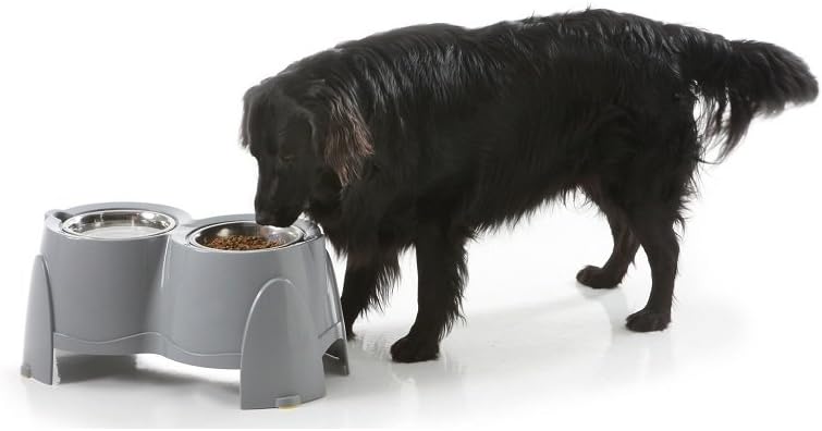 Savic Ergo Feeder 1500 Ml, Pack Of 2