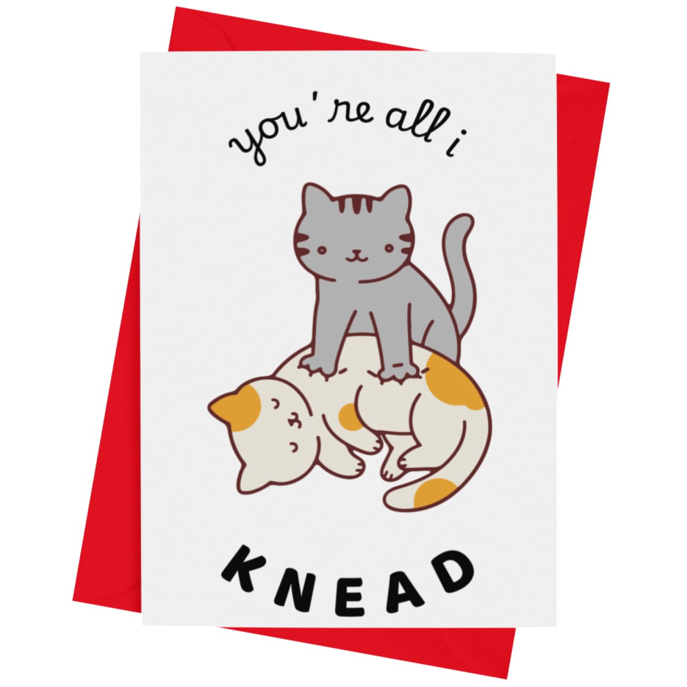 Quirky and Modern Greeting Card. Perfect for Valentines, Anniversary, Love, Missing You, Just Because - Funny and Stylish Design with Envelope (All I Need)