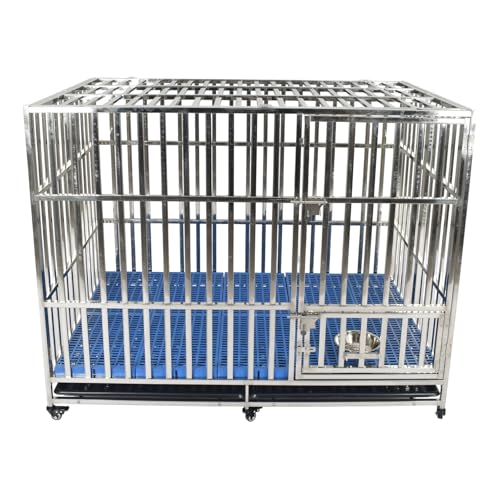 kaitou  ybgT[N pP[W ^P[W   ^ LX^[t XeX Eh~ t gȒP pT[N O (150TCY^)