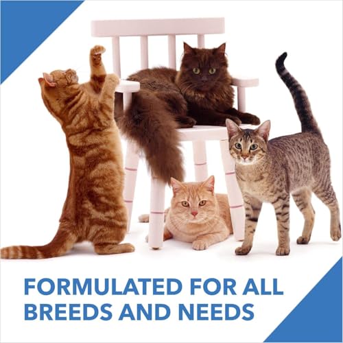 Image of Drools Adult Dry Cat Food 7kg with 5kg Free Cat Litter | Real Mackerel Flavour | Taurine for Healthy Heart | Supports Skin & Coat | Maintains Urinary pH | Reduces Hairball Formation