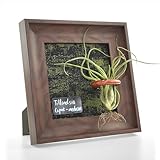 THXTYVM Air Plant Holder Tillandsia Ionantha Display Frame - Waterproof Wall Hanger Air Succulent Hanging Decor for Indoor House Plants, Creative Gift for Plant Parents