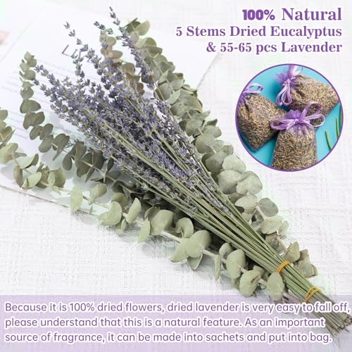 Image of 65 PCS Dried Eucalyptus Stems & Lavender Flowers Bundle for Shower, 17'' Natural Real Live Eucalyptus Leaves Greenery Hanging Lavender Shower Plant for SPA Home Fragrance Bathroom Wall Decor