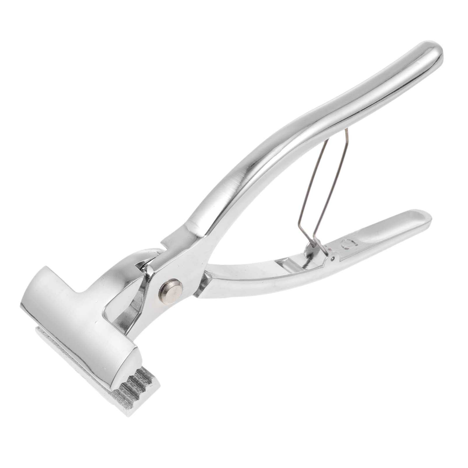 HAPINARY 6cm Wide Mouth Canvas Stretching Pliers for Oil Painting Canvas Tension Plier Fine Craftsmanship for Art Enthusiasts