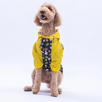 PawStar Osaka Smile B y k Irk Ya murluk