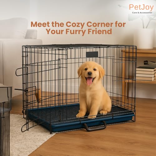 Image of PETJOY Foldable Metal Dog Cage | Dog Crate Kennel for Puppies, Small Dogs, Cats & Rabbits | Single Door with Secure Lock, Removable Leak-Proof Tray | Portable & Easy to Clean Pet Cage (Black, 30 INCH)