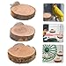 CIYODO 3pcs Wooden Parrot Ladder Toy for Bird Training Climbing Perch for Small and Pets Interactive Activity Platform for Hamsters and Birds Diameter