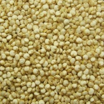 Quinoa White, Snacks for Thought - Delicious - Packed with Protein, Fiber and Essential Amino Acids 2 Lb.