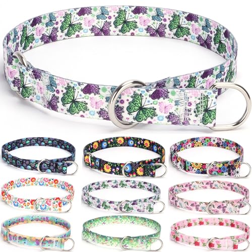 haoyueer Training Dog Collar, No Pull Martingale Collar, Slip Collar with Slidable Stop Ring for Small Medium, Large Dogs (S