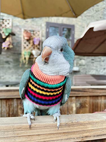Image of Parrot Bird Supplies - Warm & Comfortable Tiger Skin Clothes for Green Cheek, Little Sun, Monk, Starling, Mynah & Senegal Parrots - Mini Macaw Sweater (L)