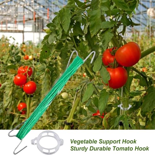 Evite les chutes de tomates grâce au crochet de support pour vigne et serre