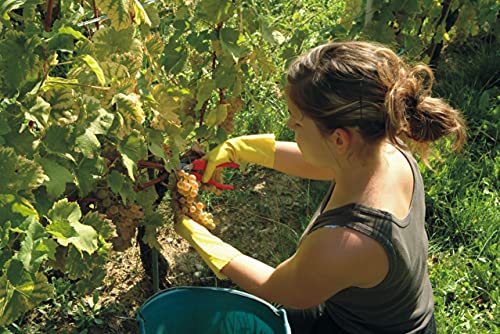 Felco F-300 Picking And Trimming Snips, F 300, Multicolor #TOP2