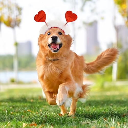 Lezevn 2Pcs Valentine's Day Dog Heart Headband Red Heart White Fluffy Pet Headband Valentines Day Pet Outfit Accessories - Image 4