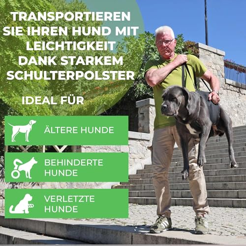Pfaff Nature Pet® Hundetragehilfe Basic – Gehhilfe für Hunde aus Neopren, Mobilitätshilfe mit Schultergurt & Seitengriffen (XL)