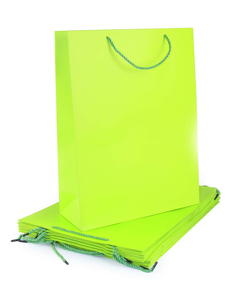 KASTWAVE Rosymoment Party Paper Gift Bag, Green, YA-4, 12 Pieces