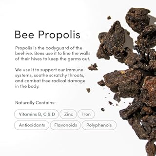 Propolis Throat Spray by Beekeeper's Naturals - 95% Bee Propolis Extract, Natural Immune Support & Sore Throat Relief - Antioxidants, Keto, Paleo, Gluten-Free (1.0 oz)(Pack of 1)