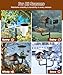 Sungaryard 2 Holders Upgrade Bird House Pole with 90inch for Outdoor Bird Feeder Bath, Heavy Duty Adjustable Birdhouse Stand with 4 Plates & 5 Prong Base for Garden, Yard(NO Birdhouse & Birdbath)
