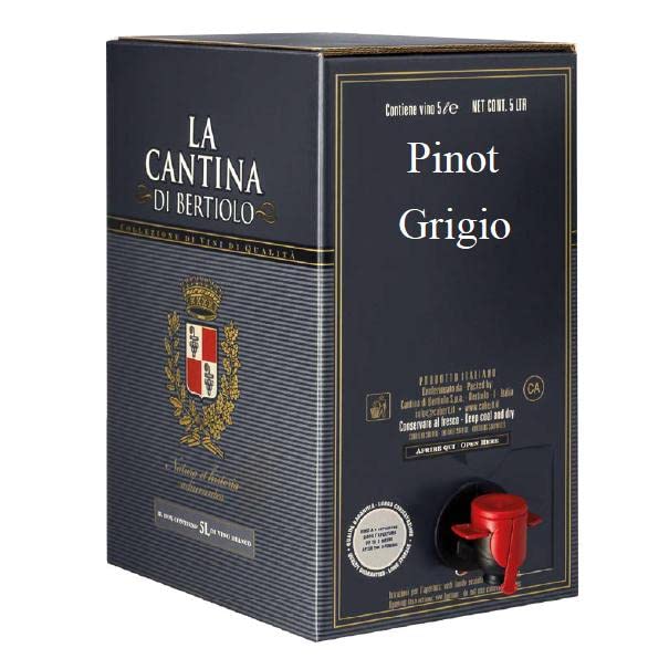 LA CANTINA DI BERTIOLO PINOT GRIGIO FRIULI DOC VINO BIANCO BAG IN BOX 5 LT
