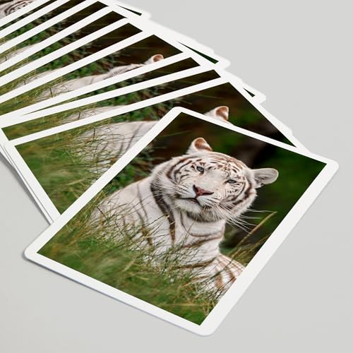 Baraja de cartas Póker White Tiger en caja de papel miniatura 5